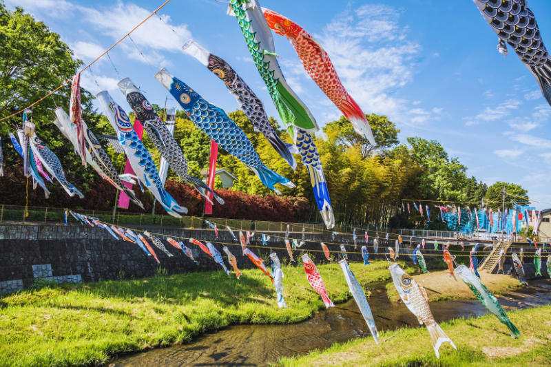 Rows of colorful carp-shaped streamers (koinobori) fluttering above a riverside park, celebrating Children’s Day in Japan.