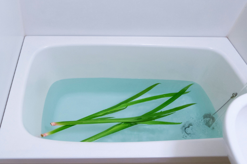 Iris leaves floating in a traditional shōbu-yu bath for Children’s Day, a custom believed to promote health.